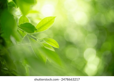 www.aqdlt.com